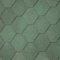 Dakshingles hexagonaal groen